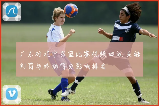 广东对辽宁男篮比赛视频回放 关键判罚与终场得分影响排名
