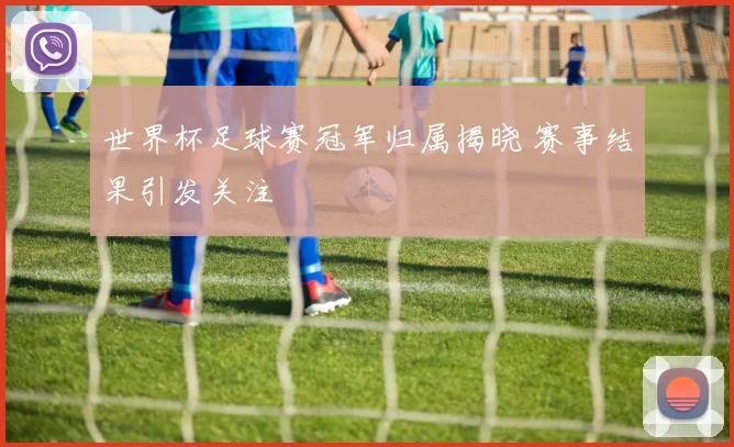 世界杯足球赛冠军归属揭晓 赛事结果引发关注