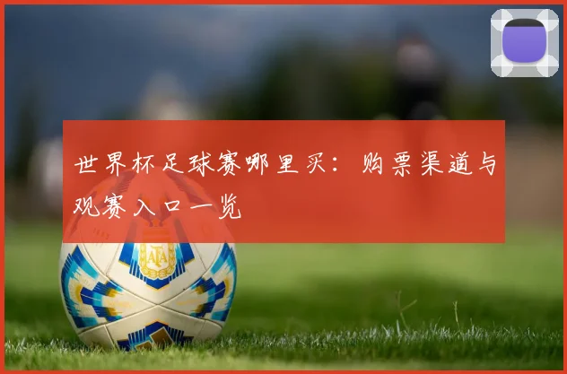 世界杯足球赛哪里买：购票渠道与观赛入口一览