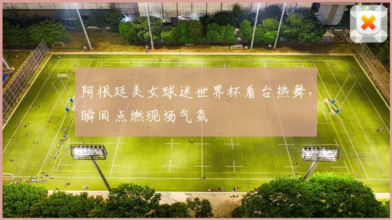 阿根廷美女球迷世界杯看台热舞，瞬间点燃现场气氛
