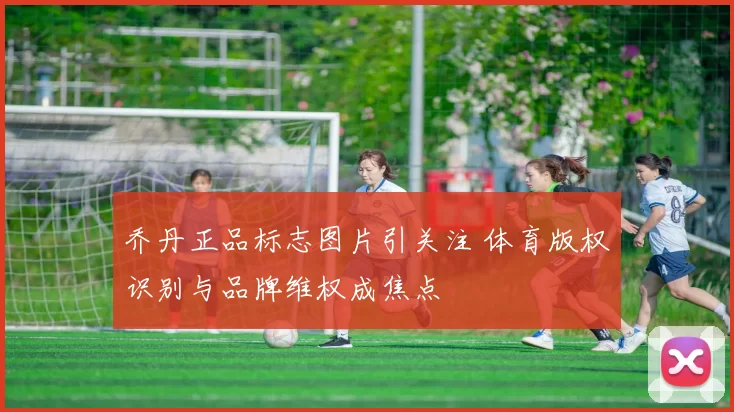 乔丹正品标志图片引关注 体育版权识别与品牌维权成焦点