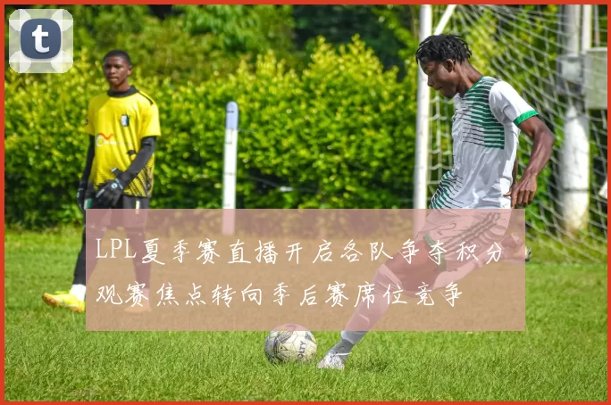 LPL夏季赛直播开启各队争夺积分 观赛焦点转向季后赛席位竞争