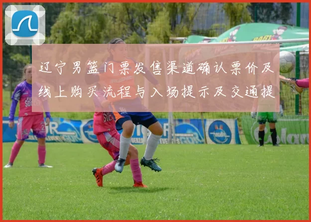 辽宁男篮门票发售渠道确认票价及线上购买流程与入场提示及交通提醒