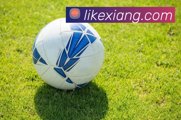 开云官方端网站登录入口 - 开云(中国)平台生态图